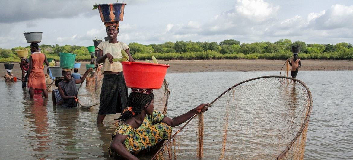 Pobreza impede 68% da população da Guiné-Bissau de ter dieta nutritiva